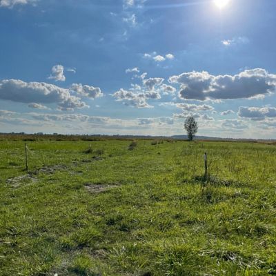 SPRZEDAŻ na DZIAŁKA w Wierzbno