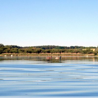 SPRZEDAŻ na DZIAŁKA w Żelewo