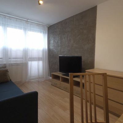 WYNAJEM na MIESZKANIE w Szczecin