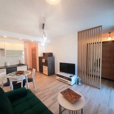 MIESZKANIE na WYNAJEM