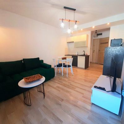 MIESZKANIE na WYNAJEM