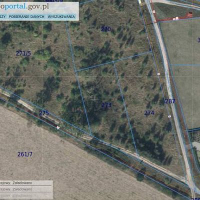 DZIAŁKA na SPRZEDAŻ