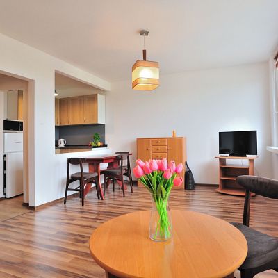 MIESZKANIE na WYNAJEM