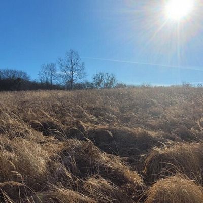 SPRZEDAŻ na DZIAŁKA w Szczecin