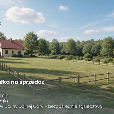 DZIAŁKA na SPRZEDAŻ