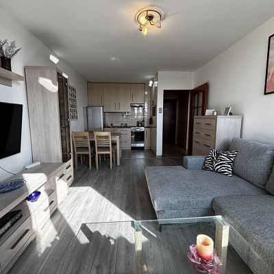 MIESZKANIE na WYNAJEM