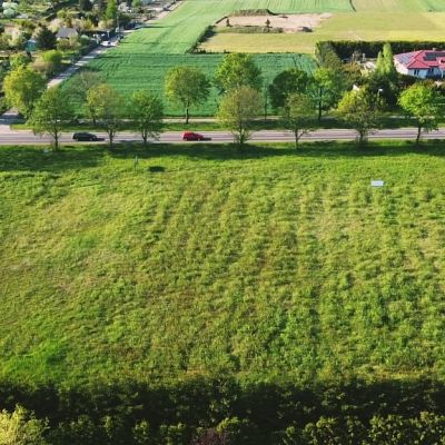 DZIAŁKA na SPRZEDAŻ